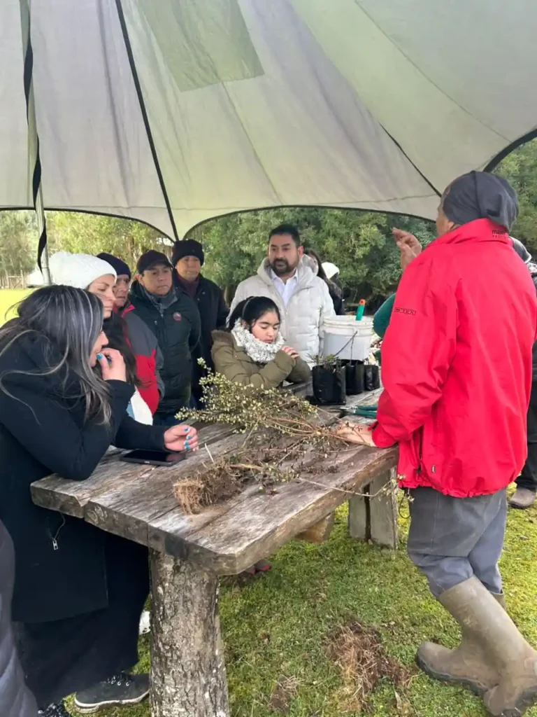 Salida a terreno Vivero Terra Lluvia El Roble