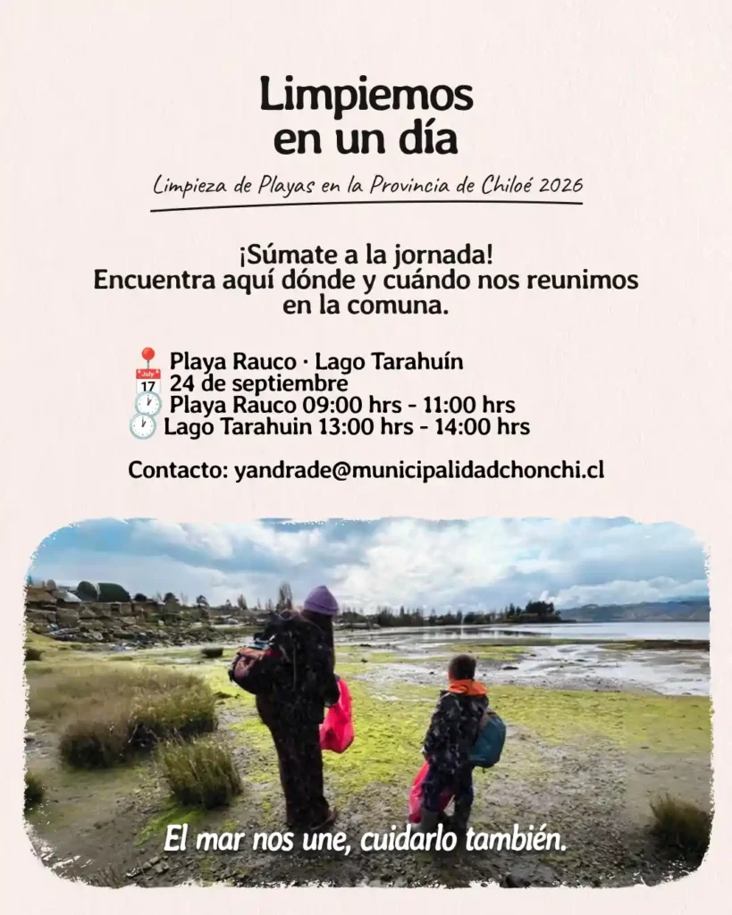 Actividad limpiemos en un día