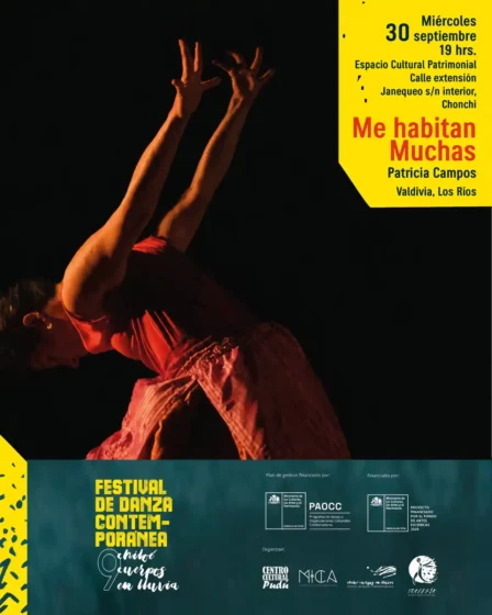 9no festival danza contemporanea
